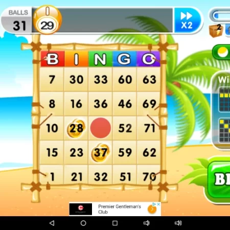 Bingo là gì? Hướng dẫn cách chơi Bingo chi tiết từ A đến Z